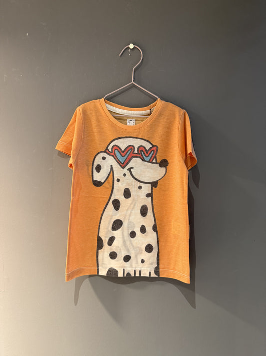 T SHIRT - dalmata